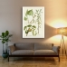Botanical Poster - 3 Medicinal Plants 