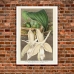 Botanical Poster - Stanhopea Eburnea