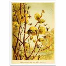 Botanical Poster - Spring Day