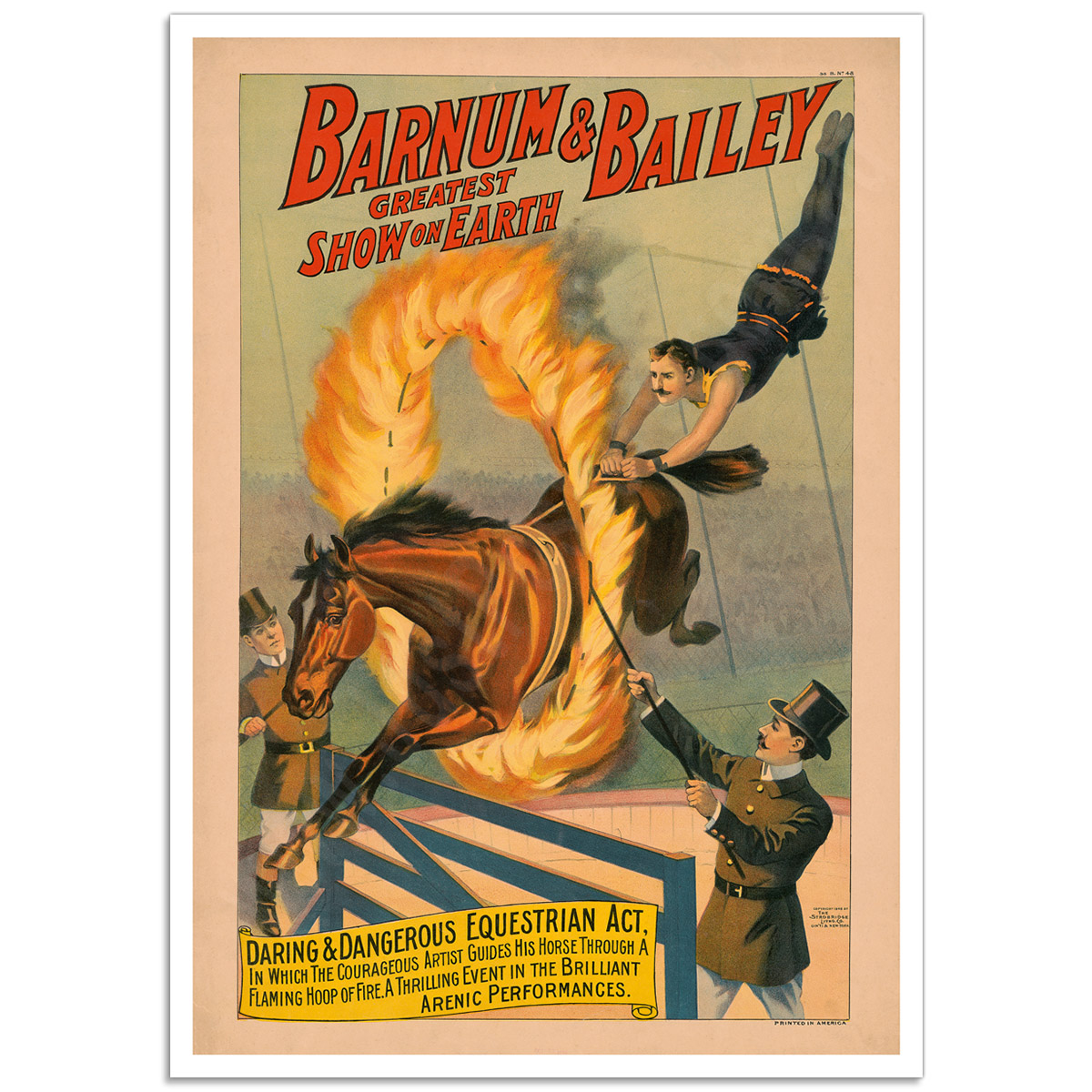 Circus Poster - Barnum & Bailey, Daring and Dangerous Equestrian Act
