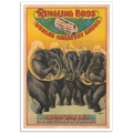Circus Poster - Ringling Brothers, Wonderful Elephant Brass Band