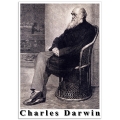 People Poster - Engraving of Charles Darwin