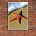 Photographic Poster - Starfish on the Beach