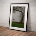 Photographic Poster - Swing in the Fog