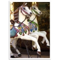 Photographic Poster - 2 Carousel Horses