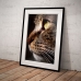 Pet Photographic Poster - Bengal Cat Portrait