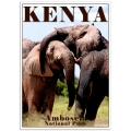 Wildlife Photographic Poster - African Elephants Embrace