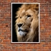 Wildlife Photographic Poster - Lion, King of Beasts