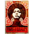 Activist Poster - Power and Equality