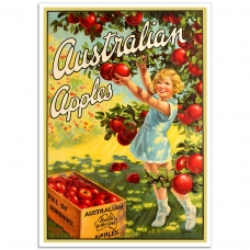 Vintage Australian Promotional Poster - Australian Apples